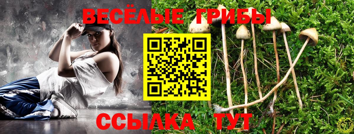 Кашира  Галлюциногенные грибы Psilocybine cubensis  Галлюциногенные грибы Magic Shrooms  Вход с VPN 